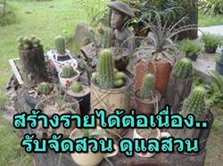 แนวทางสร้างรายได้จากการรับจัดสวน ดูแลต้นไม้ ดูแลสวน