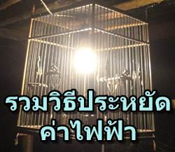 วิธี ลดค่าไฟฟ้าด้วยการเลือกซื้อเครื่องใช้ไฟฟ้าที่เหมาะสม